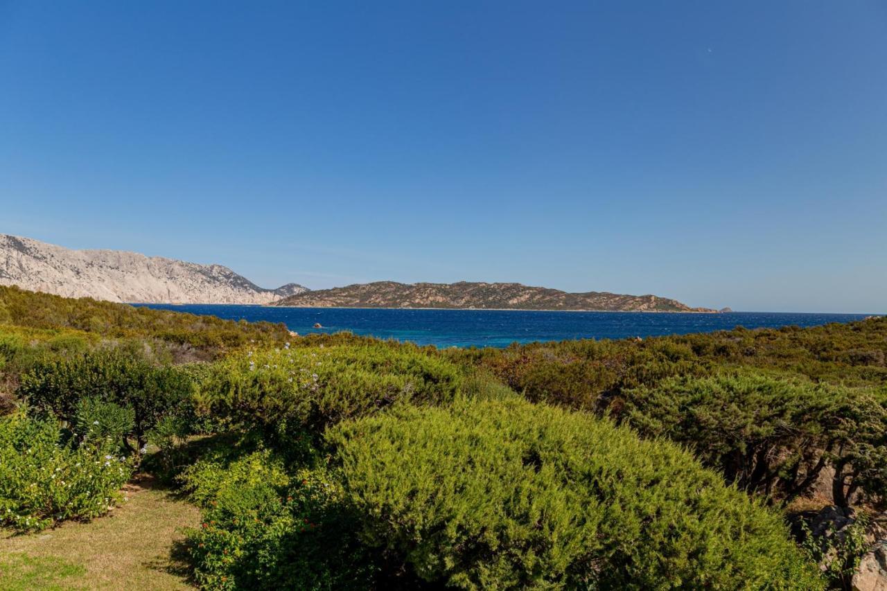 Appartamento Cala Paradiso San Teodoro  Eksteriør billede